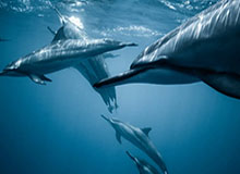 乐鱼体育线上网站-“湘超”开赛,打造文体旅新品牌